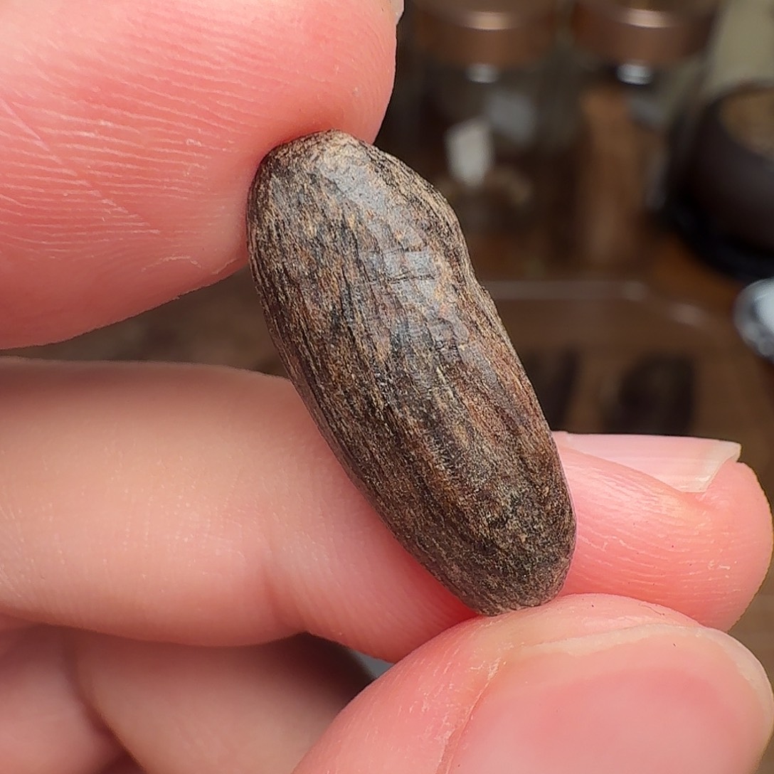 沉香香港西贡棋韵瓜子