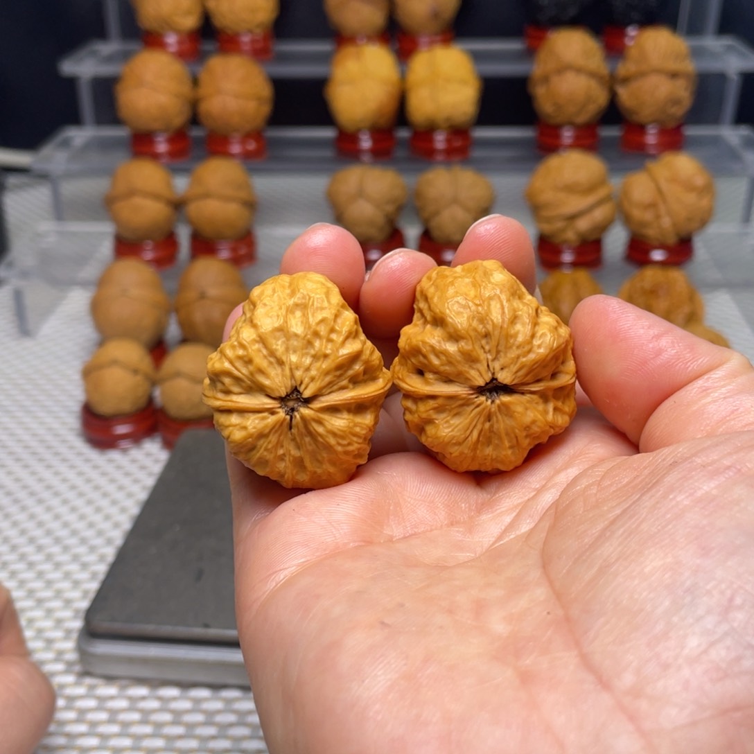 文玩核桃把件2龙脊妖蟾