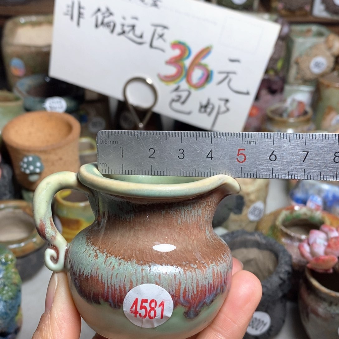 花盆拍5送一个小礼物