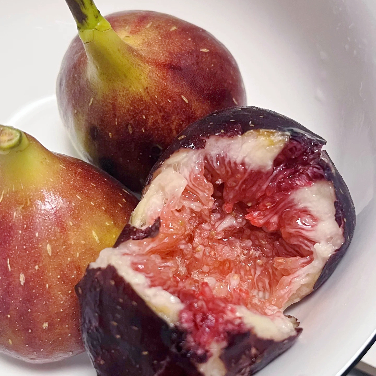 【红皮红肉无花果苗】无花果苗 果苗  红皮红肉无花果裸根苗 