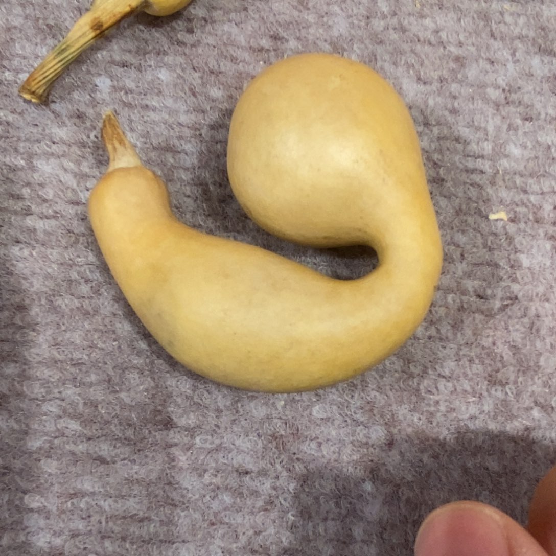 北***成Aaaaaaaaaaawwwaaaaaaaaaa