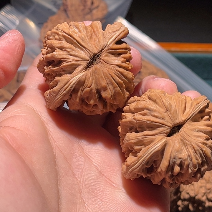 张***土文玩核桃把件45楼子