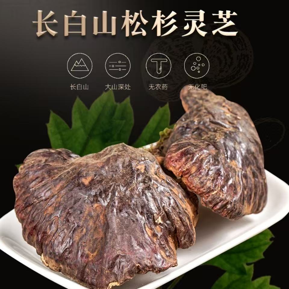 仿野生长白山松杉灵芝可用于泡酒泡茶的干货滋补佳品