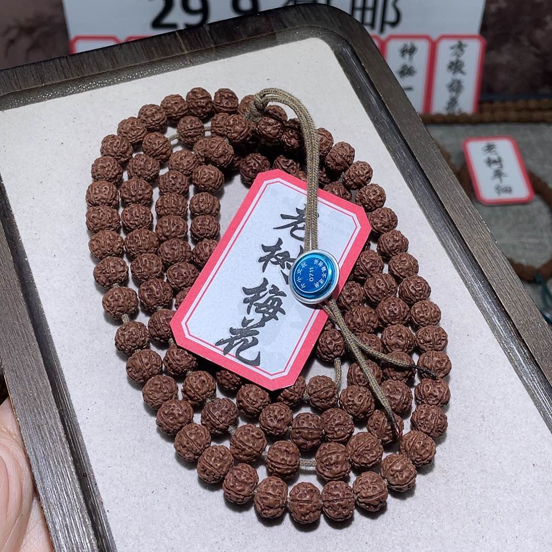 金刚菩提手串0711老树梅花