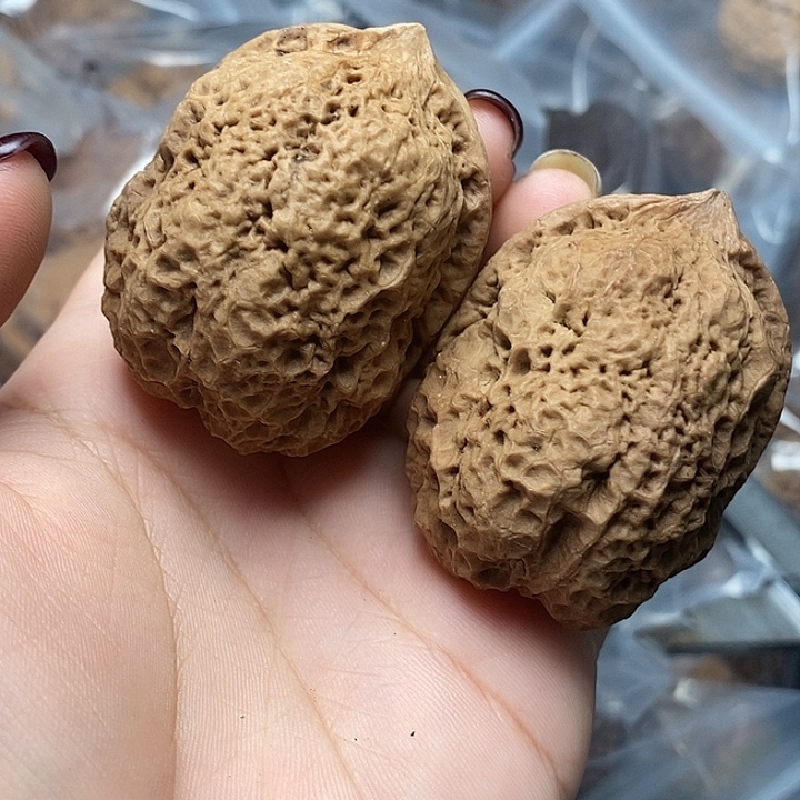 把件文玩核桃        21h