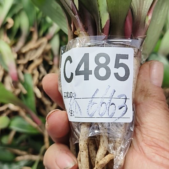 用***狼完全开放7777777777