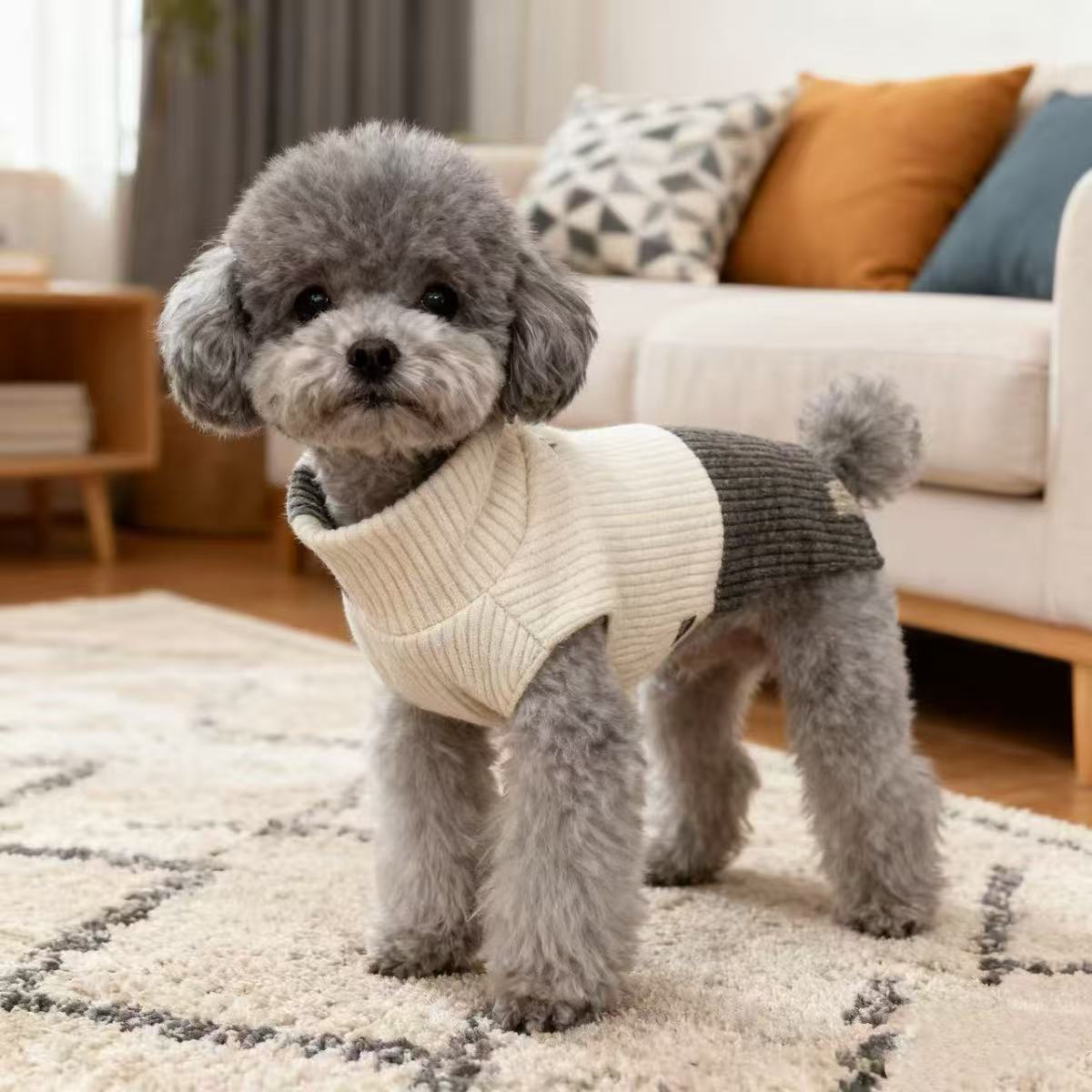 宠物春秋衣服猫咪狗狗衣服秋冬新款毛衣秋冬装宠物背心