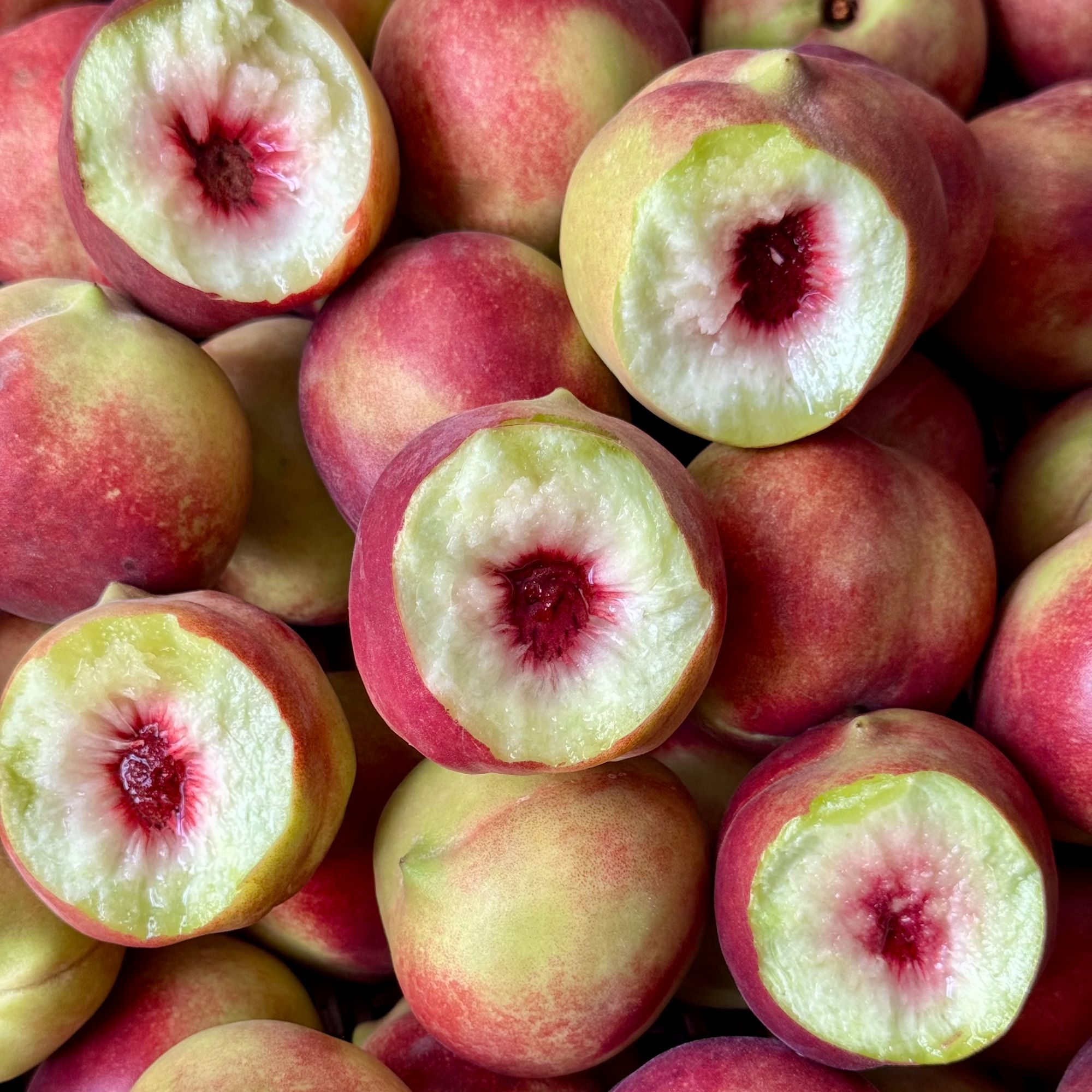 【脆甜多汁】山东蒙阴冬雪蜜桃 新鲜水果 现摘现发 桃香浓郁 净5斤