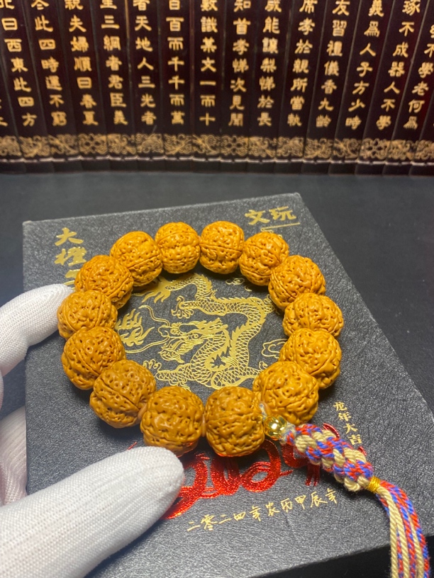 精品龙骨梅花（21号）