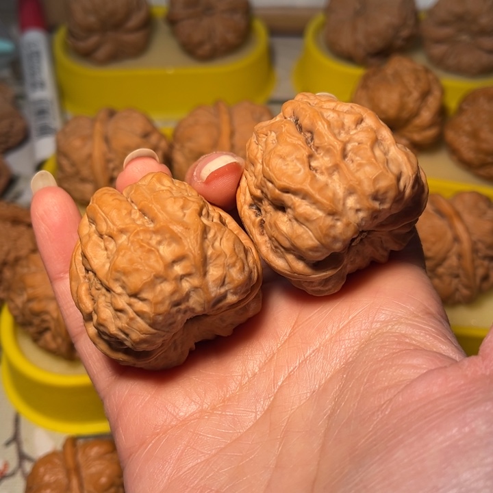 核桃蛙蛙40。。。。。。。。。