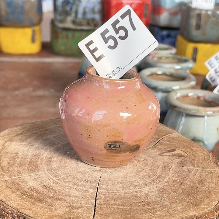 紫砂花盆新款 拇指盆 内口2.4