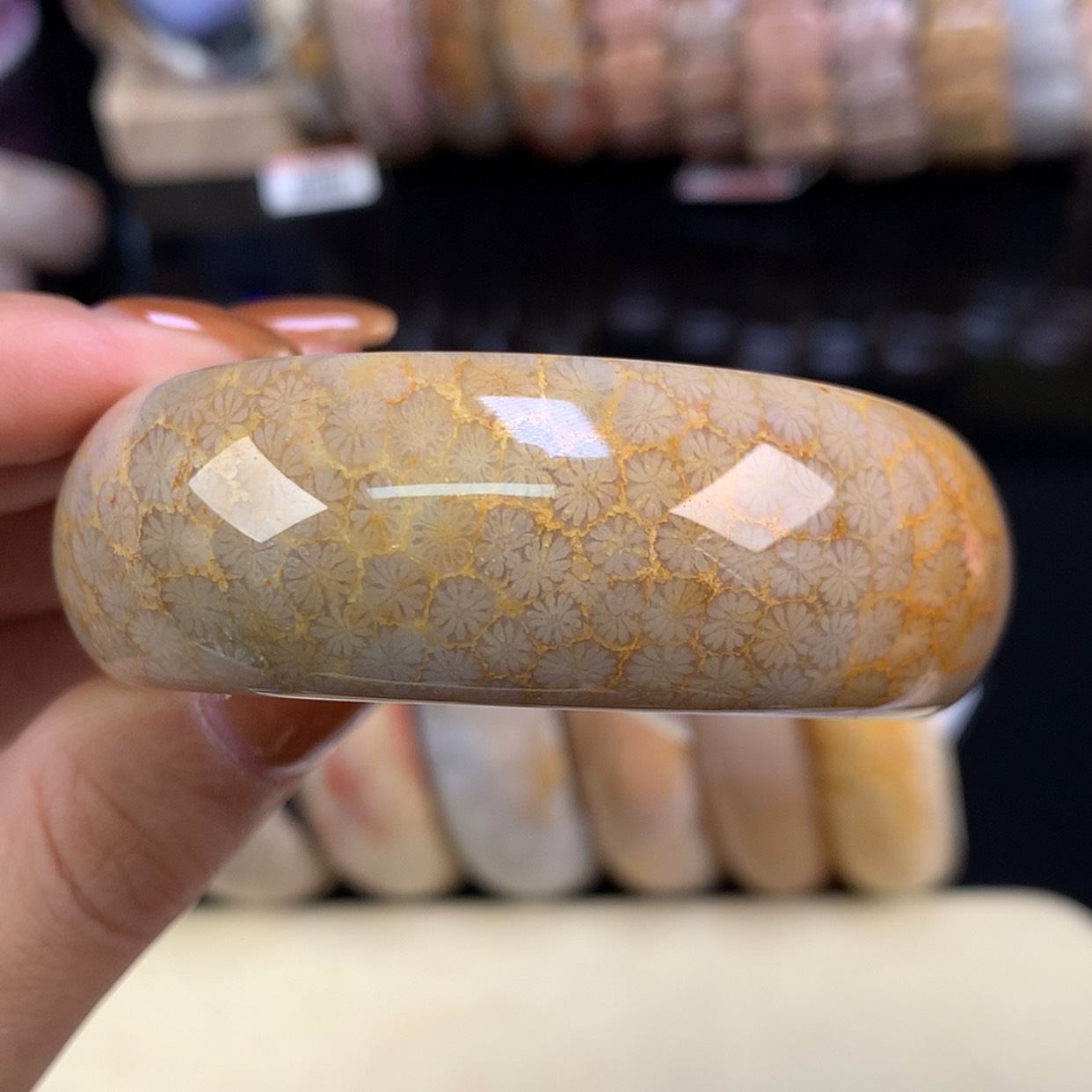 【闪购商品】颈饰未镶嵌硅化珊瑚（珊瑚玉）上新手镯51（29号）