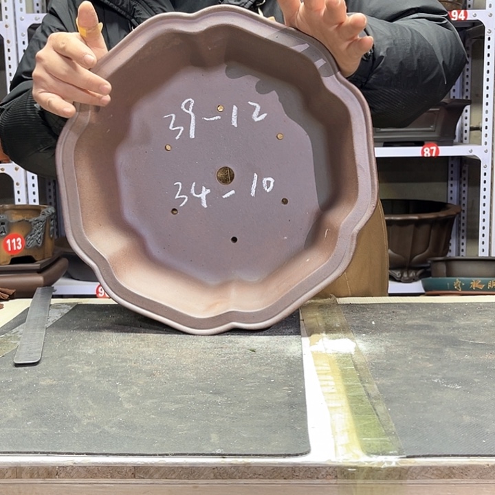 紫砂花盆紫紫好好看