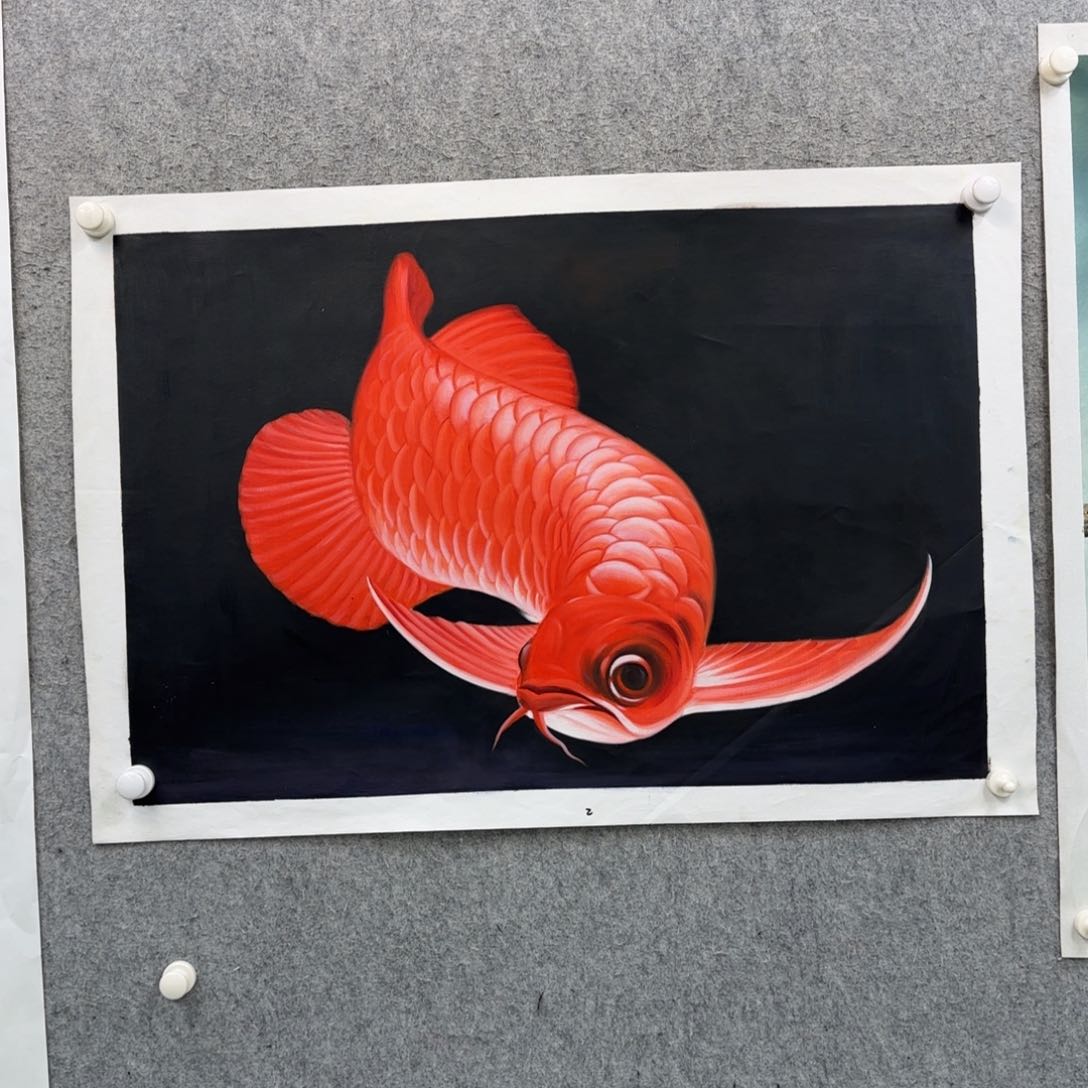 书法作品多次参加全国及