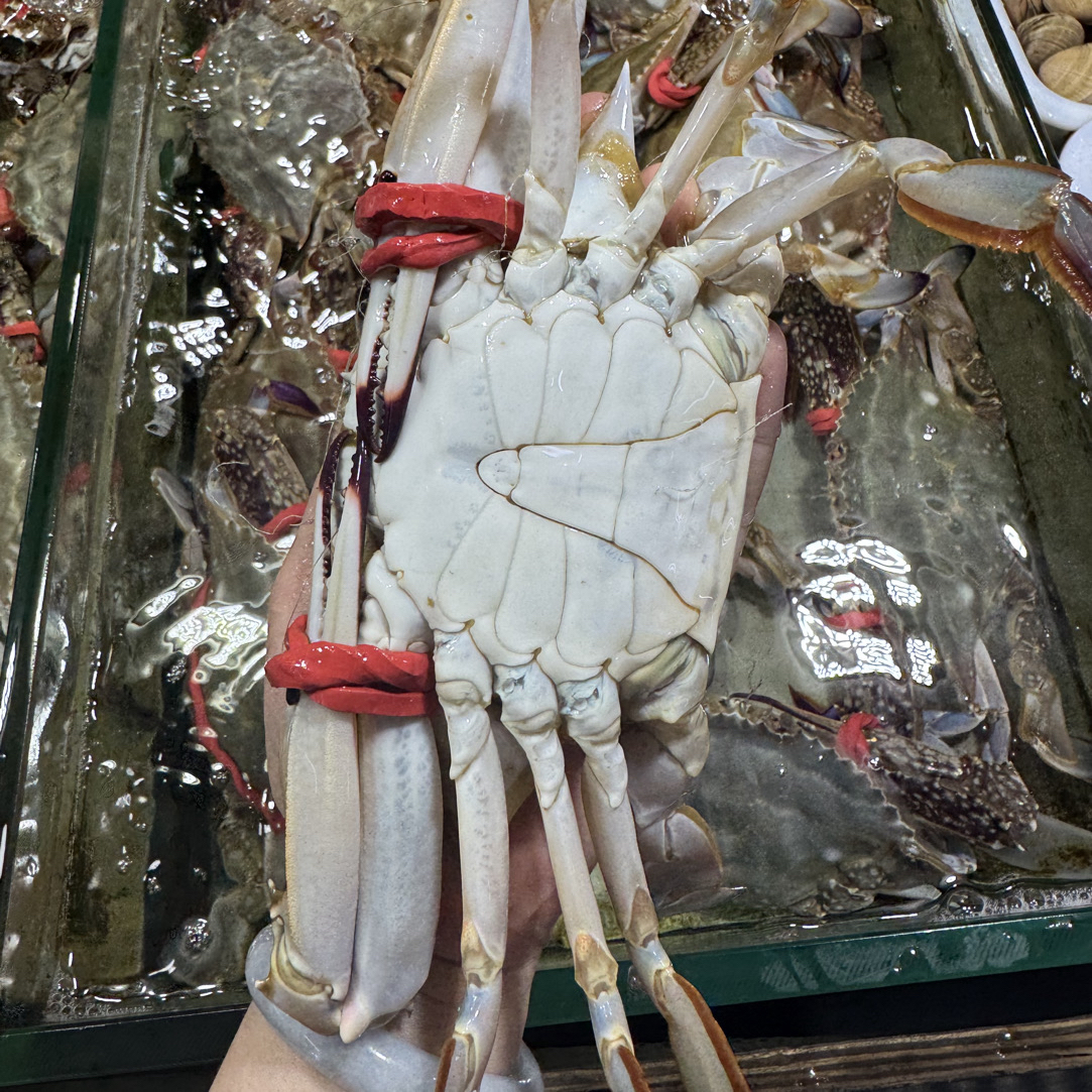 鲜活梭子蟹 单只7-8两，一份一只装350-400g【保鲜不保活】