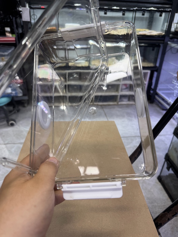 全透明超大空间高透透气放逃守宫蜥蜴昆虫蜗牛乌龟饲养盒pet材质