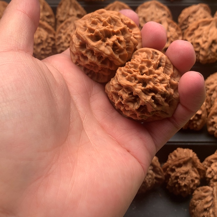 其他核桃纳**蛋秦岭大花