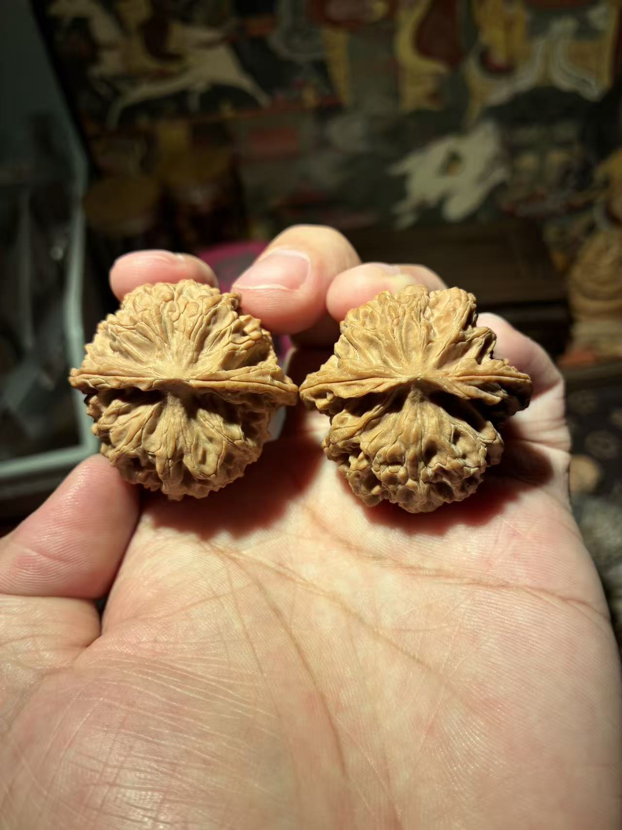 山地红皮原桩苹果园