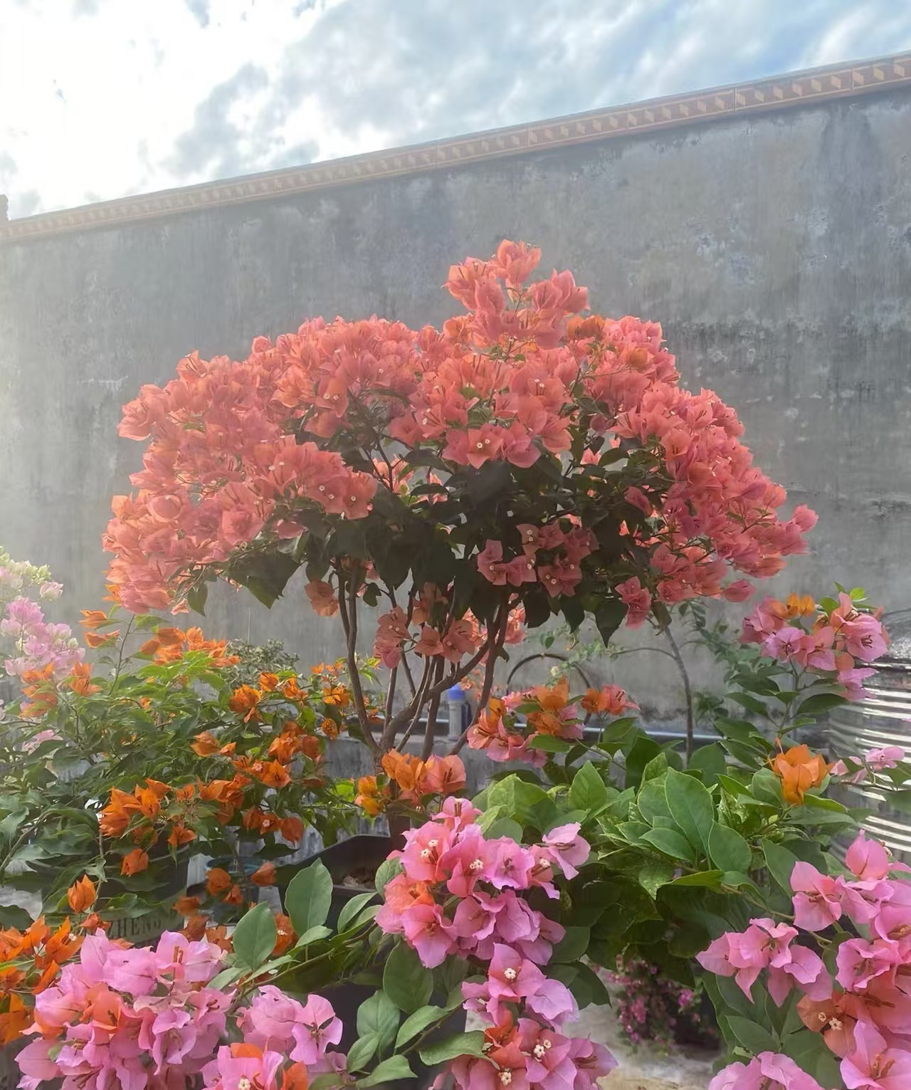 兴宇盛随机福利花花不指定