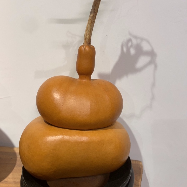 P***.中号尺寸的尺寸大小尺寸