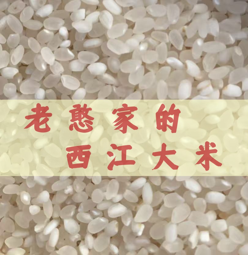老憨家的西江大米当季新米小粒香5kg