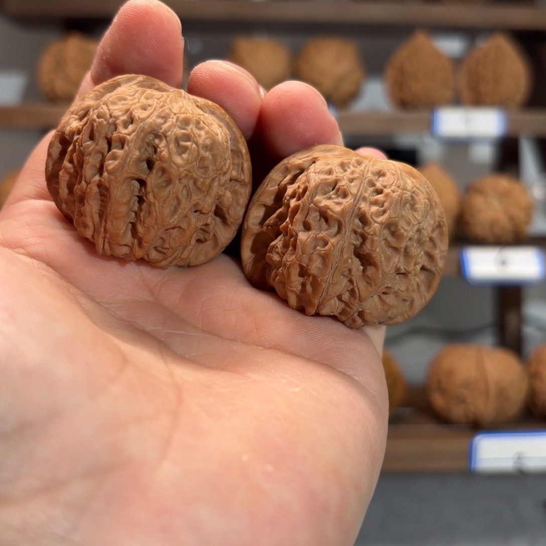 文玩核桃吊坠42血麒麟修