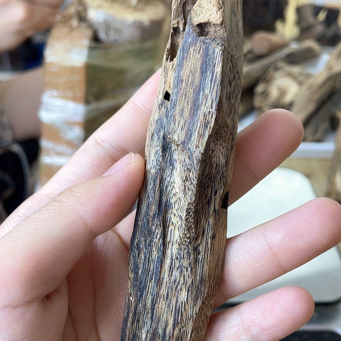 木绿奇楠原材料虫漏20克