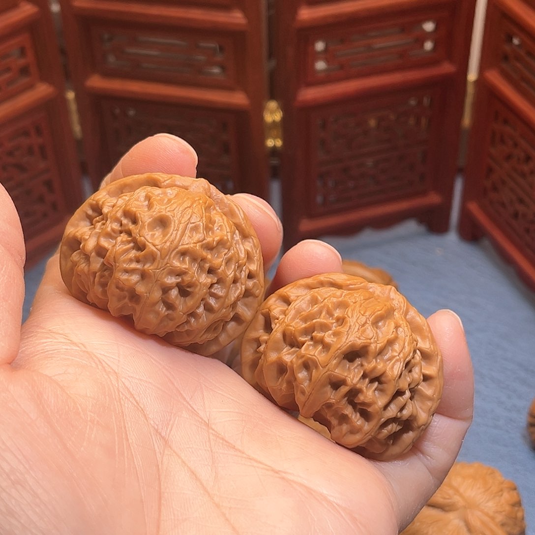 40全品邢台老树宫灯……