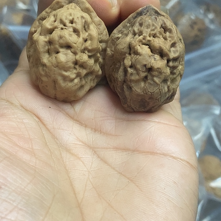 把件文玩核桃云南铁核桃基地15