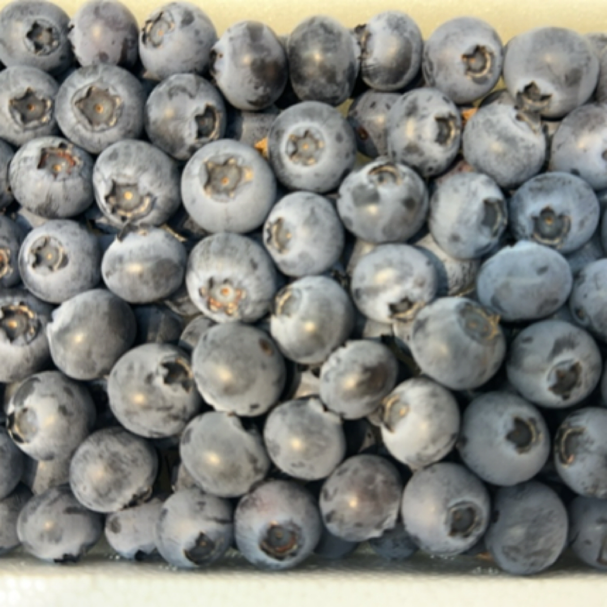 云南甜蓝莓13mm一箱（约一斤）云南省