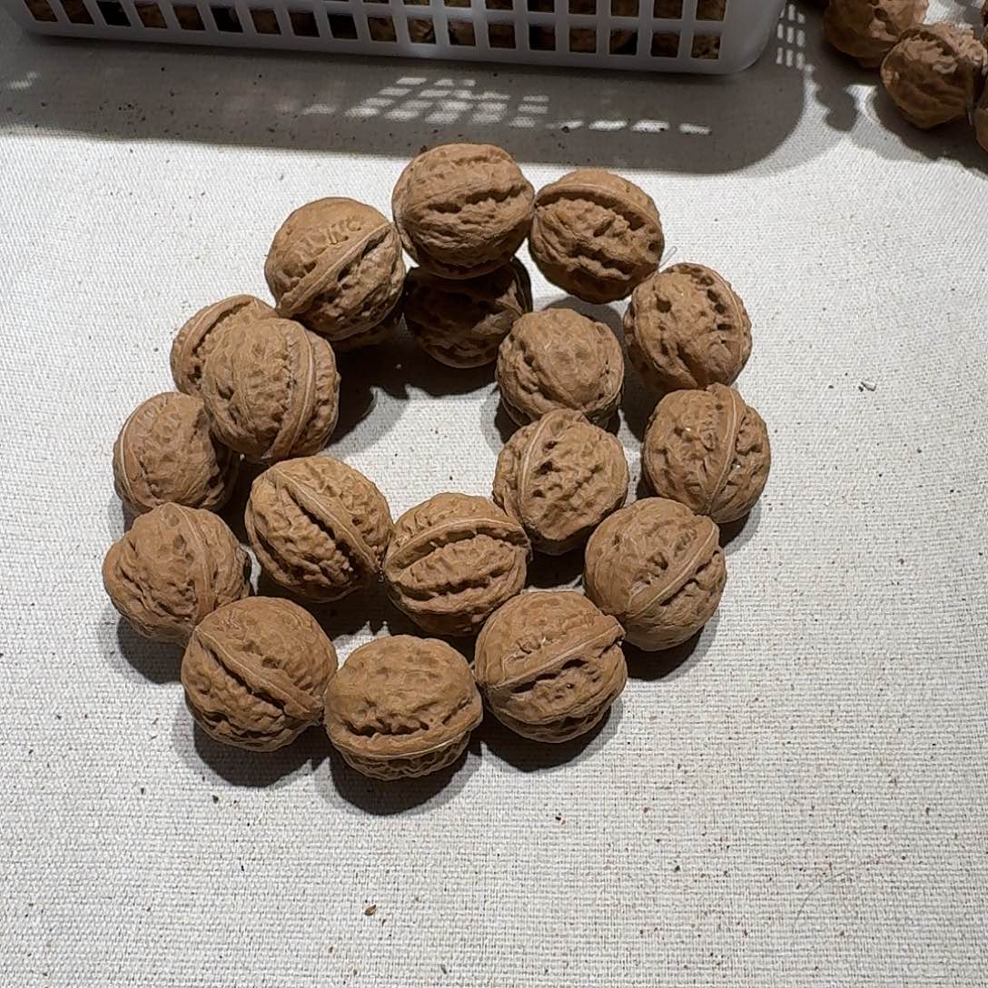 核桃手串/手链68号边24手持