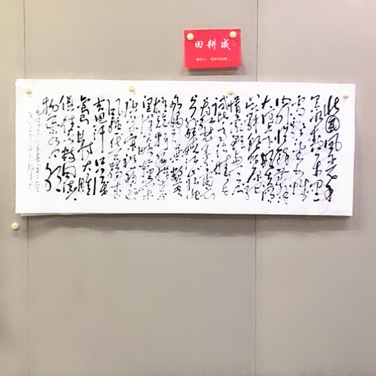 智***觉书法田耕曾书法作品欣赏