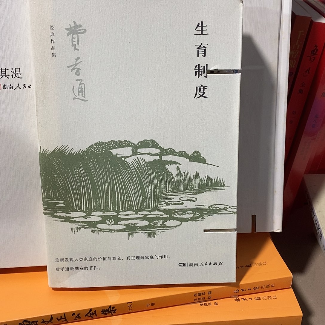 锯口……生育制度……………………