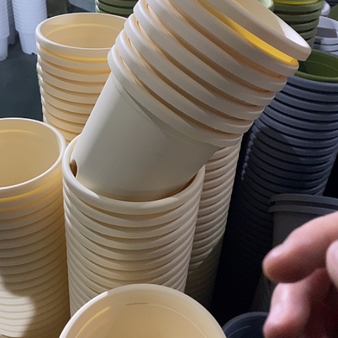 树脂四季2号12个无托米黄