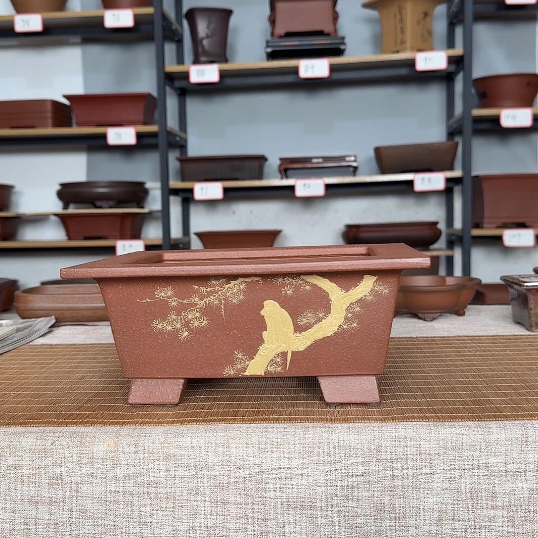 山***堂紫砂3456577786868788887