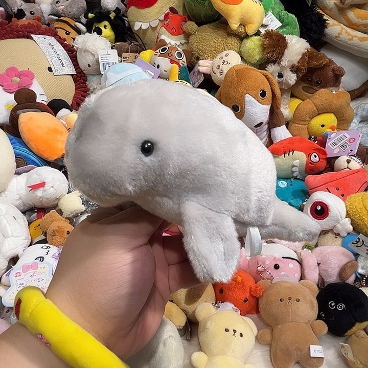 毛绒玩偶哈哈哈哈哈哈