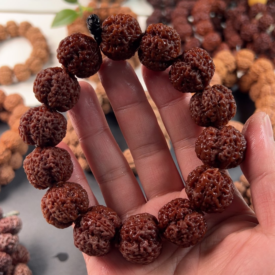 金刚菩提手串烛龙轻奢22（头部皮色略浅）