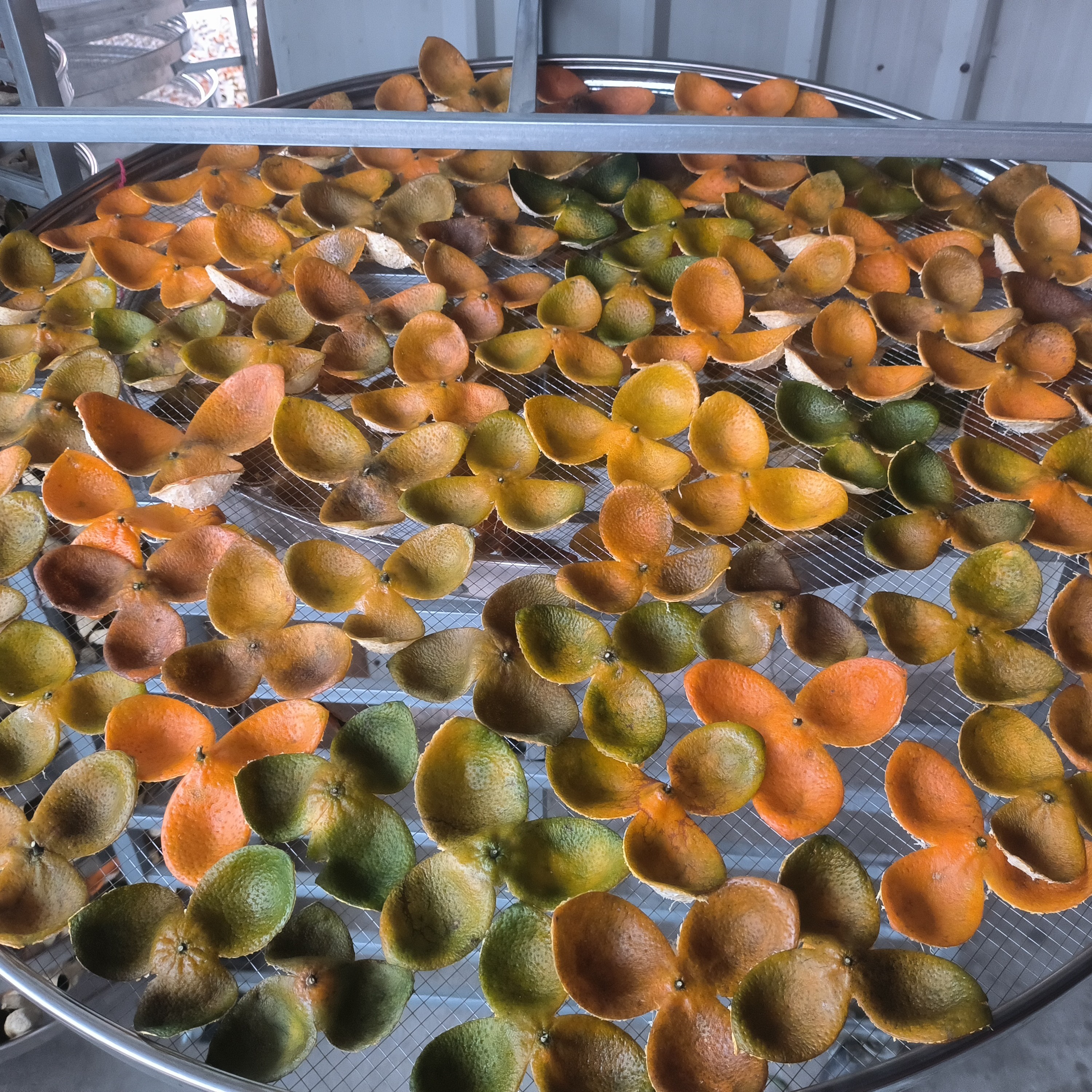 【2025】冬后：新会区司前镇冬后皮，吹足北风，糖分高，冬至后摘的。