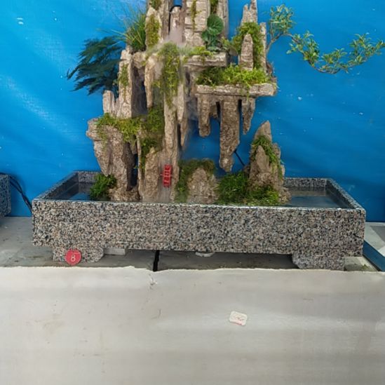 吸水石绿植盆景园