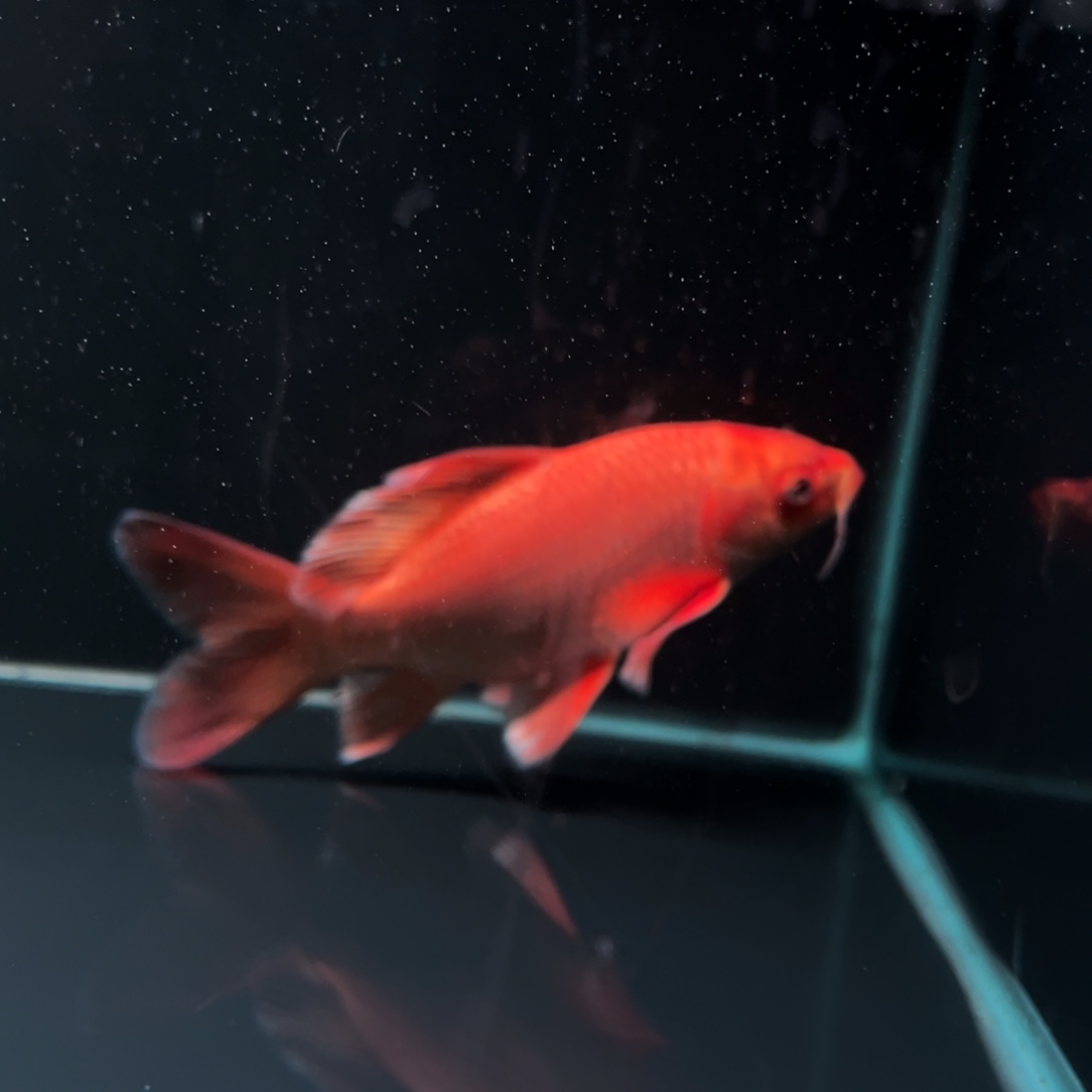 海水鱼园**日哈哈哈哈哈哈哈