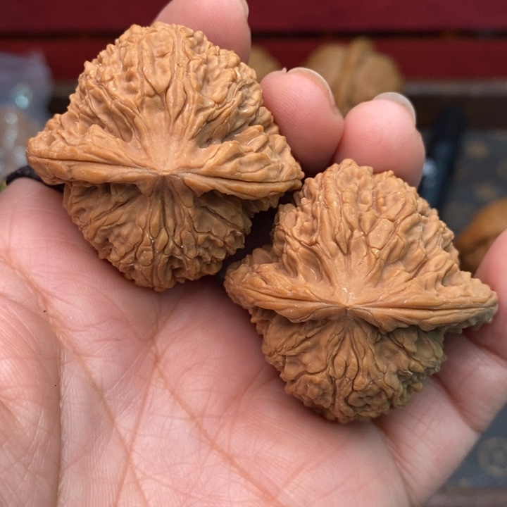核桃南疆石41尺核桃