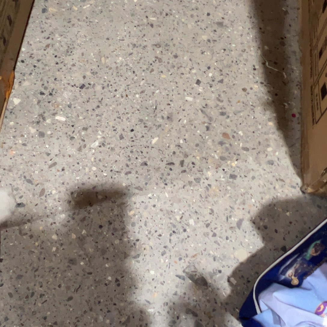 灰***吖破包深水拉拉裤xxl28