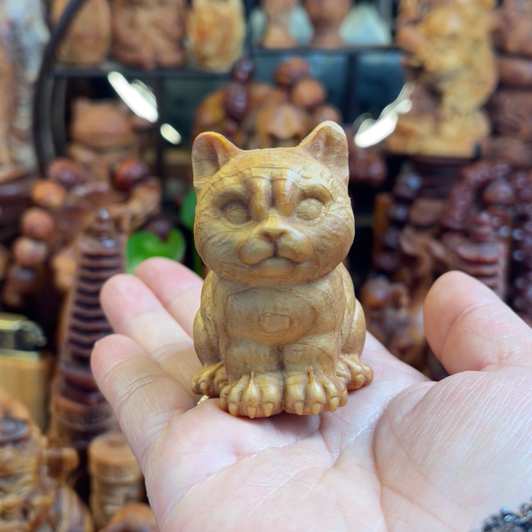 松木（琥珀木）其他小猫