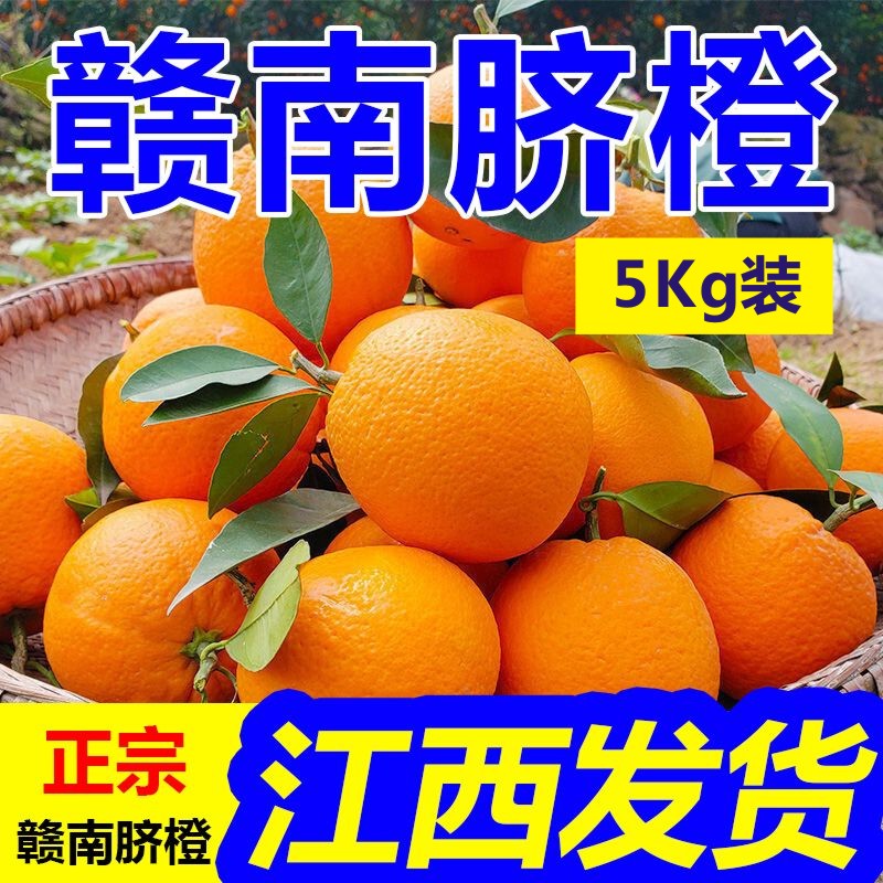 赣南脐橙现摘现发5Kg装