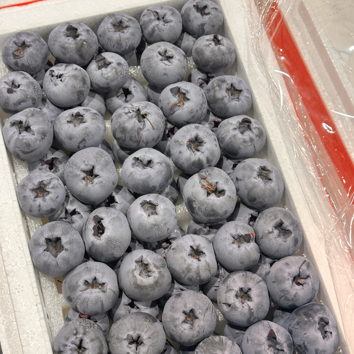 云南空运蓝莓…！18+号起步九分甜一分酸！酸甜适中！嘎嘎好吃！云南省