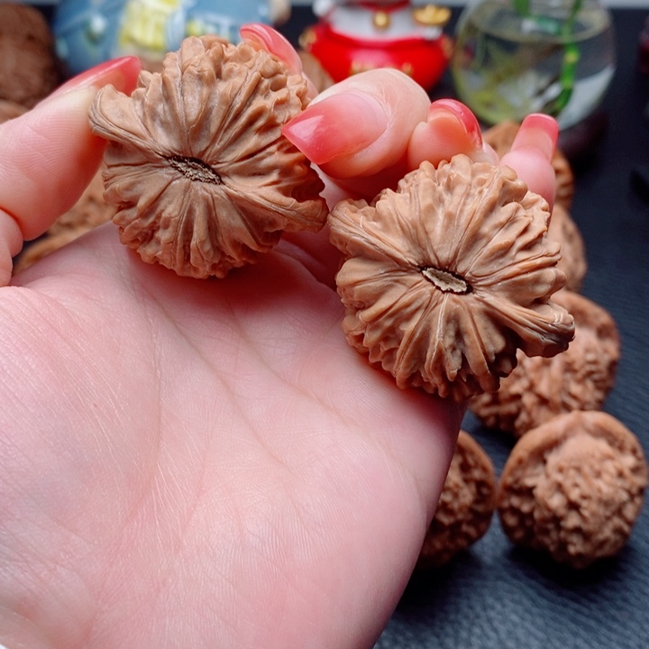 核桃山地果蝴蝶磨42