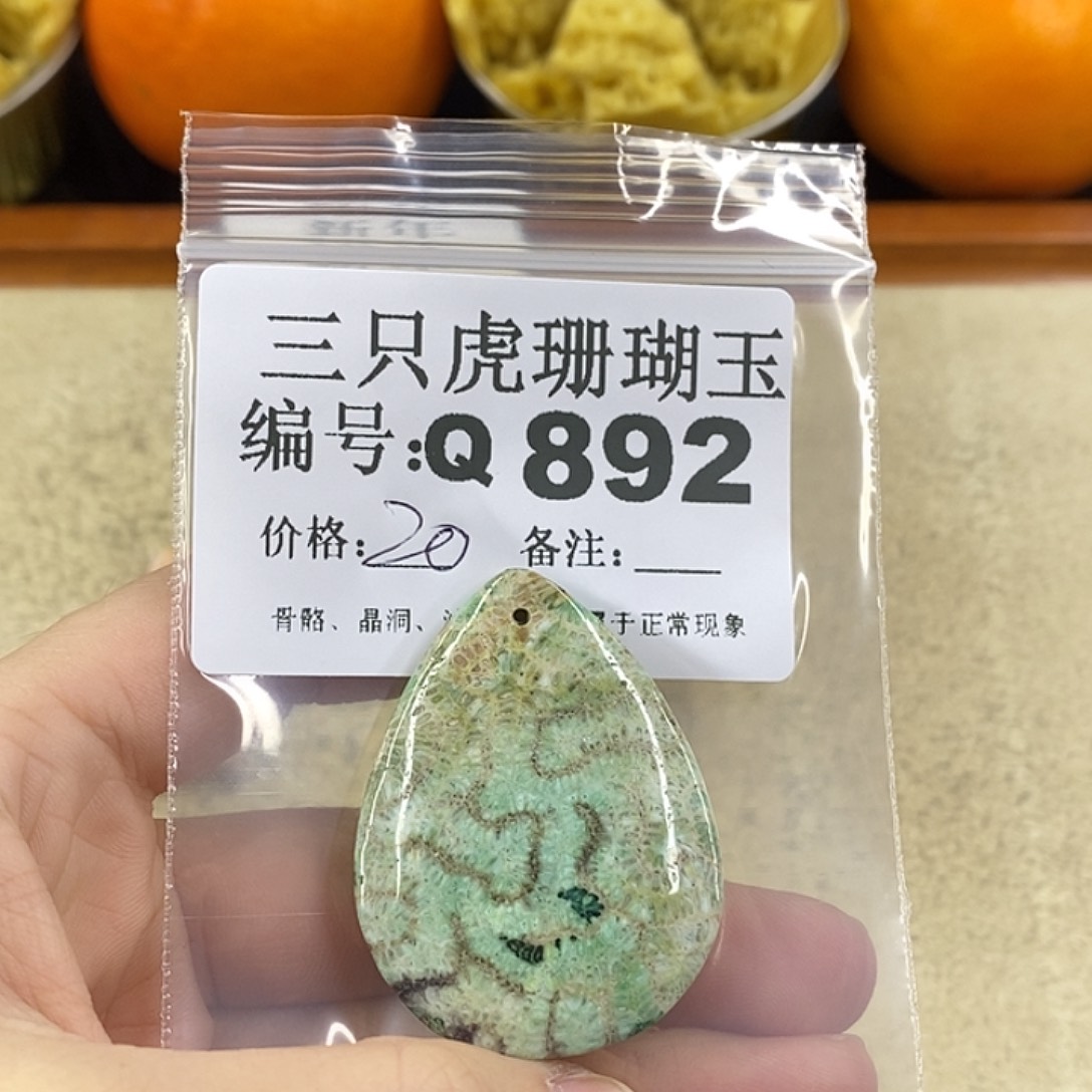 硅化珊瑚（珊瑚玉）1未镶嵌太*