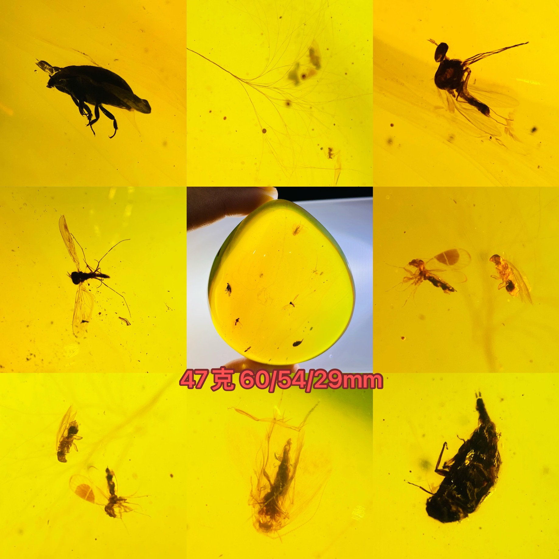 【小伊琥珀】47克虫珀吊坠