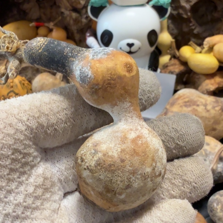 三***泰66666677777777788888