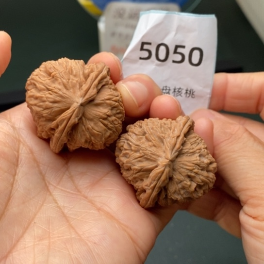 把件文玩核桃36白狮子5050